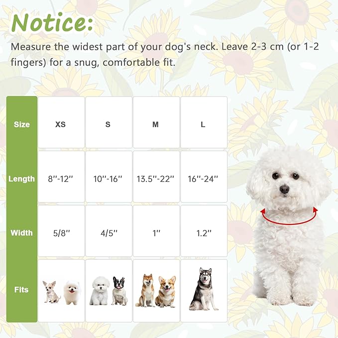 Dog Collar for Extra Small Dogs, Spring &Summer Theme Dog Collars - Image 2