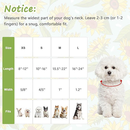 Dog Collar for Extra Small Dogs, Spring &Summer Theme Dog Collars - Image 2