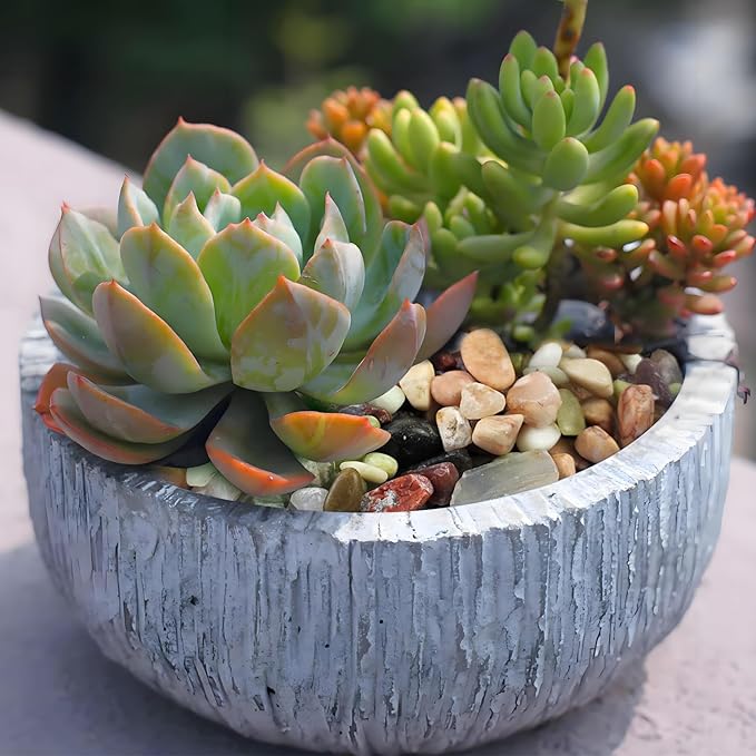 FANTIAN 10 lbs Small Succulent Rocks, 3/8 Inch Colorful Polished Pebbles - Image 3