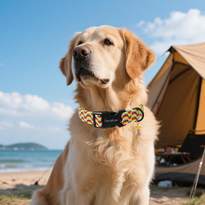 Unique style paws Dog Collar Plastic Buckle - Image 5
