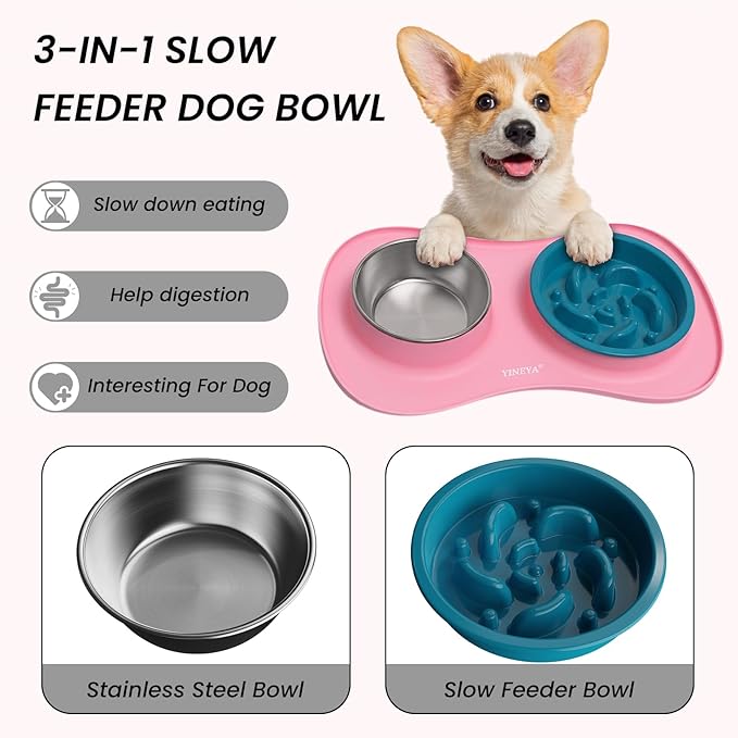 YINEYA 3 in 1 Slow Feeder Dog Bowls & Stainless Steel Food and Water Bowl - Image 2