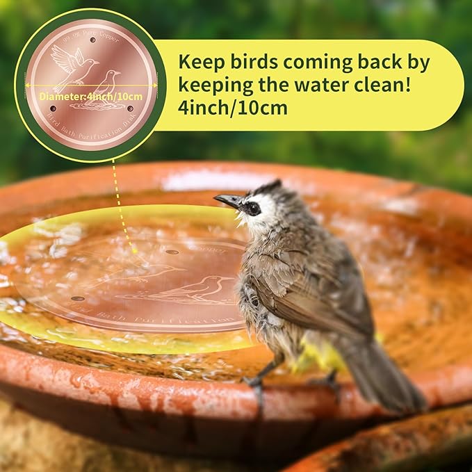 Bird Bath Copper Disk, 99.99% Pure Copper Bird Bath Cleaner, Triple-Point - Image 5