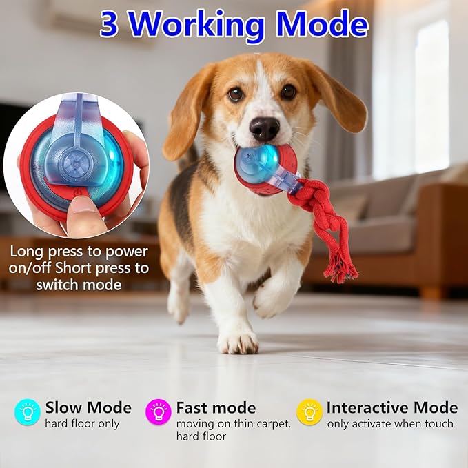 Oxawo Interactive Dog Toys Pet Busy Balls Wiggles Ball - Image 4