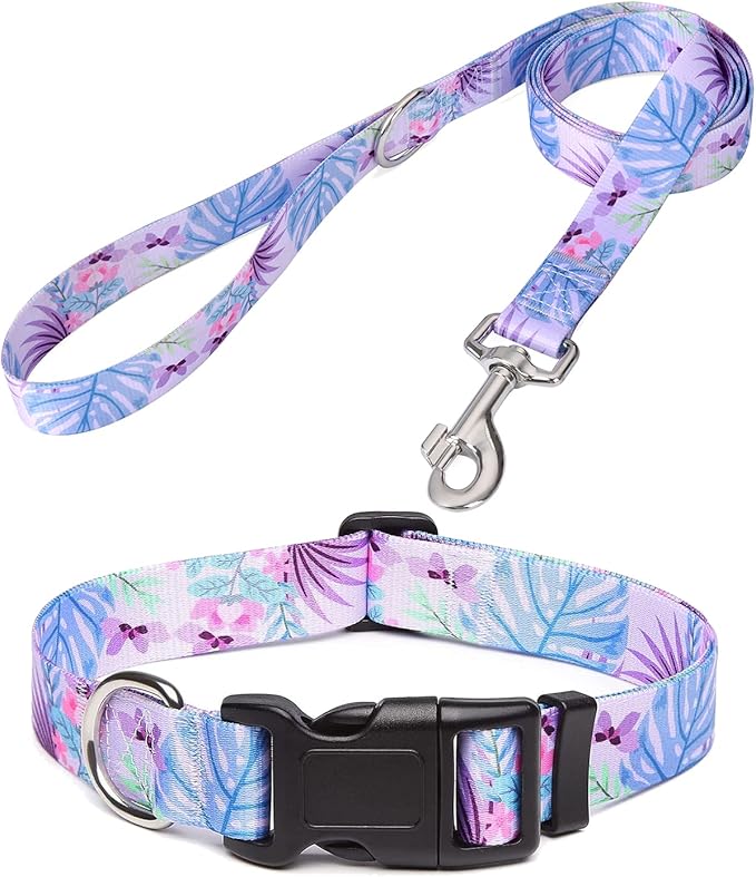 Mihqy Dog Collar and Leash Set by Mihqy