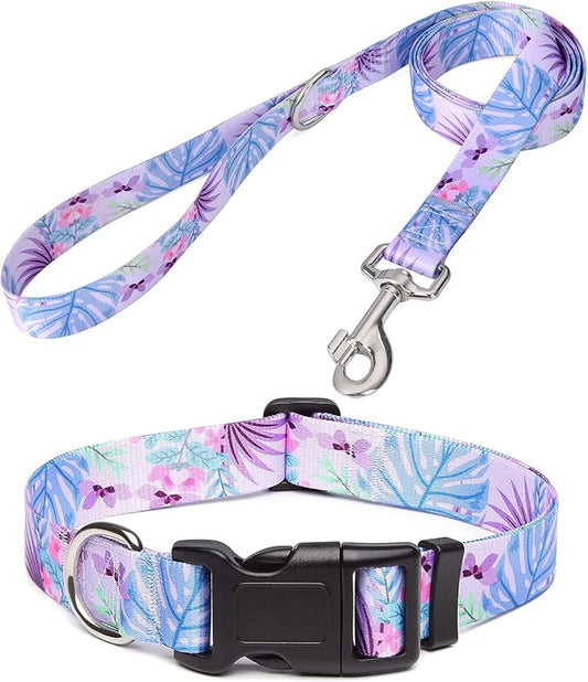 Mihqy Dog Collar and Leash Set by Mihqy