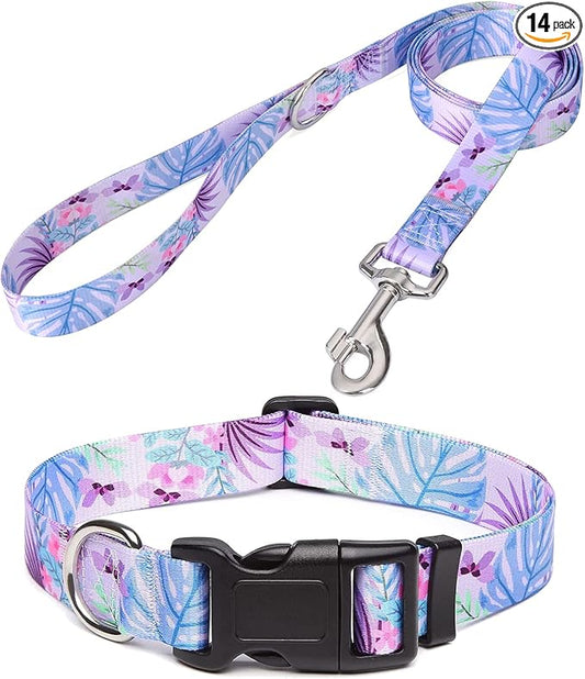 Mihqy Dog Collar and Leash Set by Mihqy
