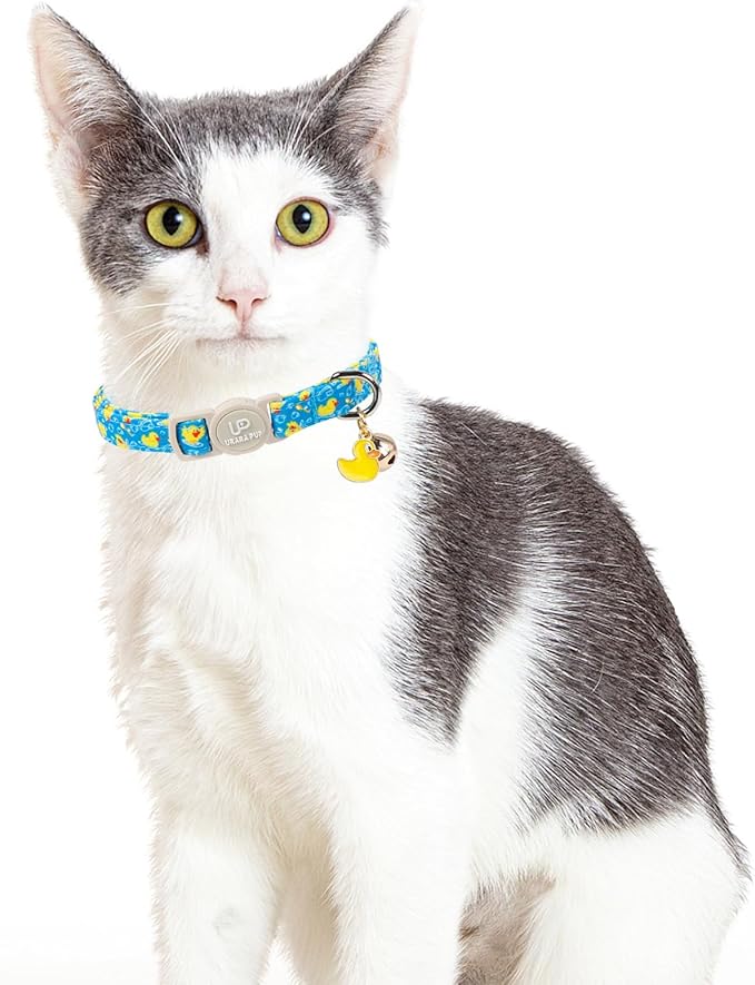 Cat Collar, Pretty Duck Kitten Collars - Image 5