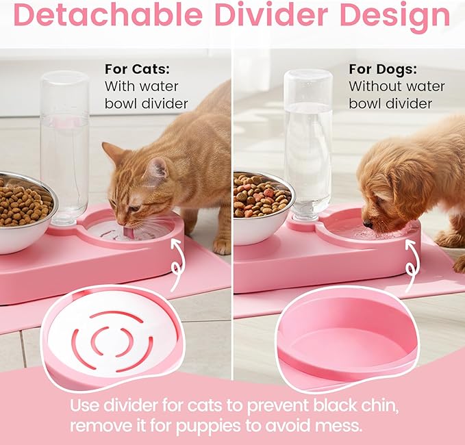 Double Elevated Dog Cat Food Water Bowls, Stainless Steel Cat Food Water Bowl - Image 7