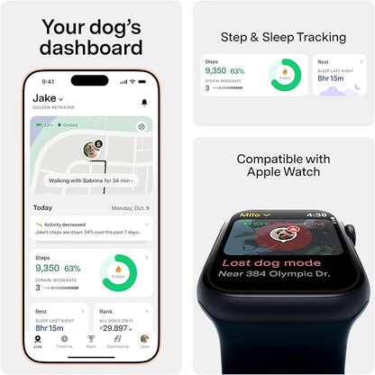 Fi New Series 3+ Smart Dog Tracker Collar GPS Tracker - Image 3