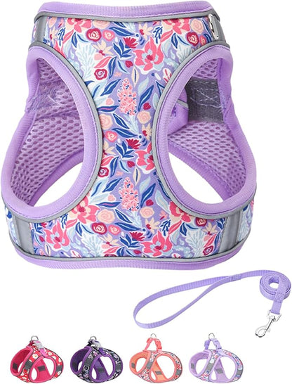 Step in Dog Harness and Leash Set, Flower Adjustable Easy Walk Puppy Harnesses by Flymind