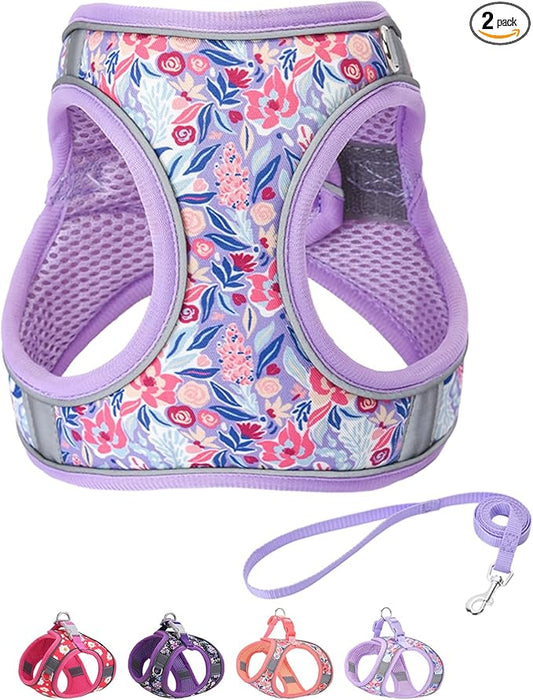 Step in Dog Harness and Leash Set, Flower Adjustable Easy Walk Puppy Harnesses by Flymind