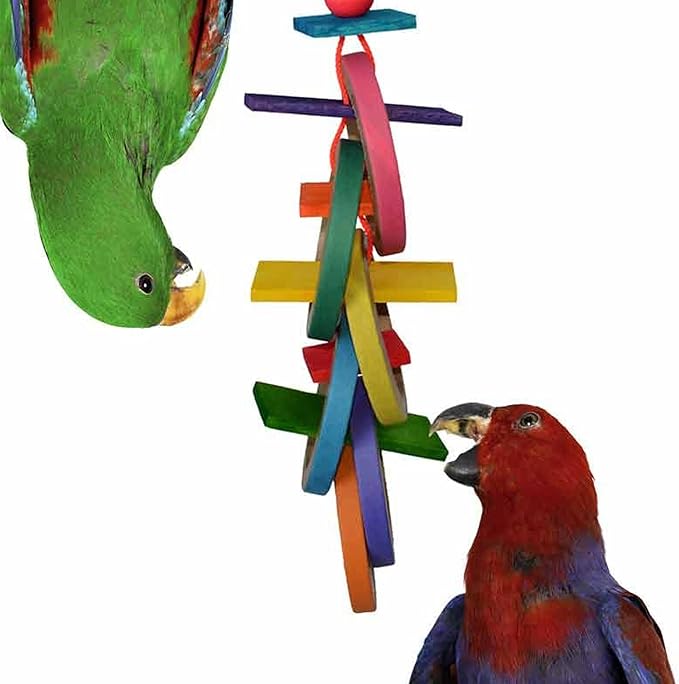 Super Bird Creations SB625 Olympic Rings Bird Toy, Large Bird Size, 15” x 4” x by SuperBirdCreations