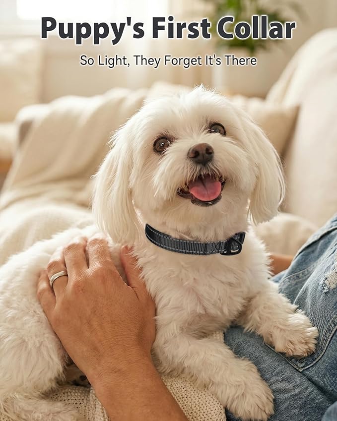 Joytale Small Dog Collar, Durable Double-Sided Reflective Nylon Collar - Image 2