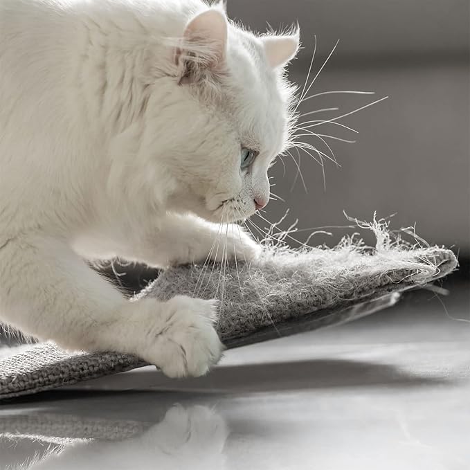 NAZVA Cat Scratcher Mat - Image 7