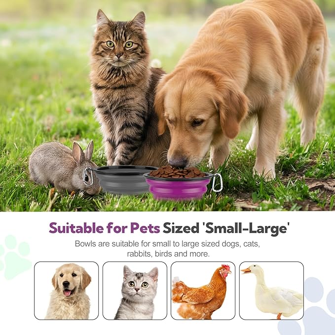 Collapsible Dog Bowl Large 2 Pack, Dog Water Bowls - Image 2