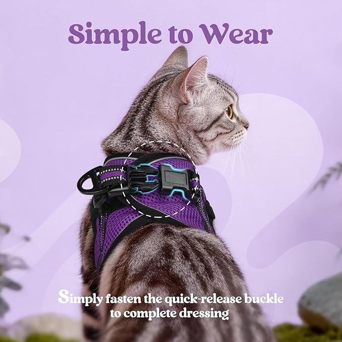 rabbitgoo Cat Harness and Leash, Step-in Escape Proof Kitten Harness Set - Image 4