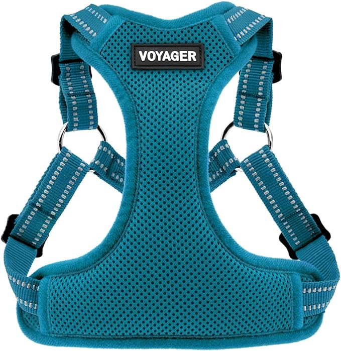 Best Pet Supplies Voyager Adjustable Step-in Flex Breathable Mesh Dog Harness by BestPetSuppliesLLC