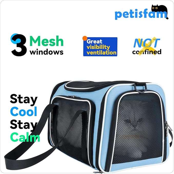 Cats Voluntarily Enter Carrier. Stress-Free Vet Visit, Veterinarian-Approved - Image 3