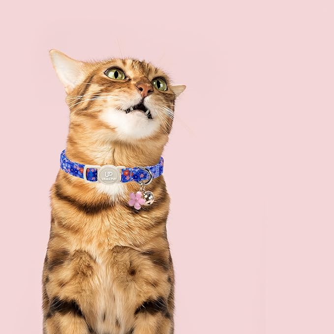 Cat Collar, Pretty Flower Kitten Collars - Image 6