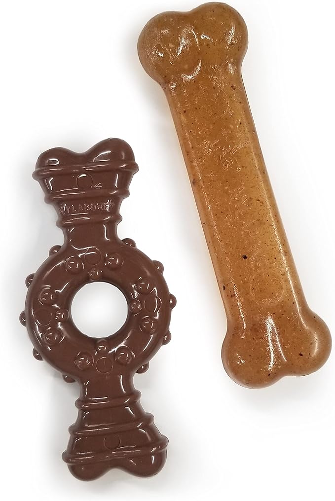 Nylabone Ring Bone Chew Toy for Puppies, Puppy Teething Toys, Puppy Enrichment by Nylabone