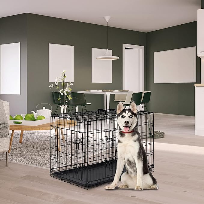 FDW Dog Crate for Large Dogs 42 Inch Folding Metal WirePet Cage Double Door - Image 2