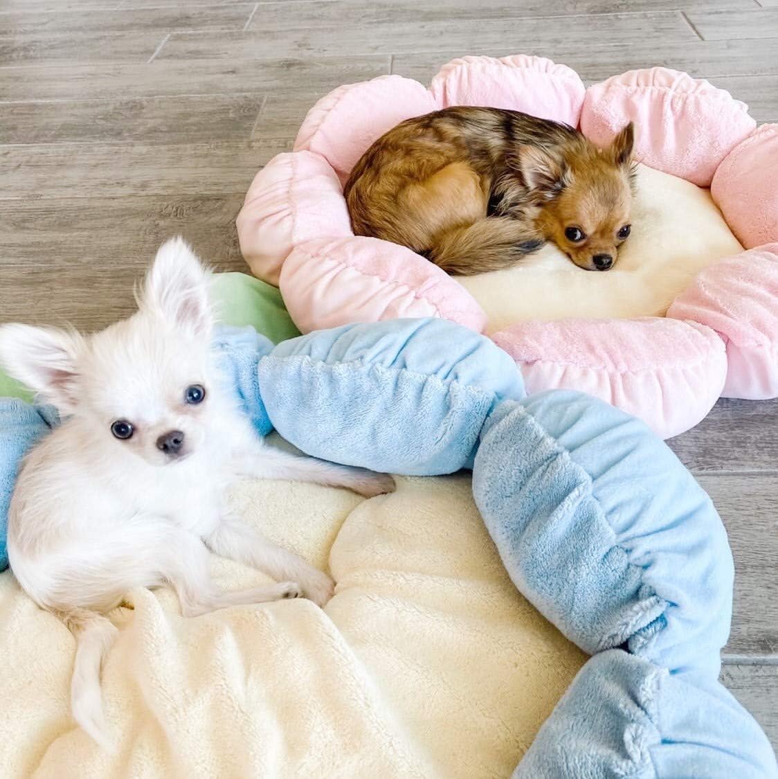 TONBO Soft Plush Small Cute and Cozy Nature Dog Cat Bed, Washer and Dryer Friendly (Blue Flower)
