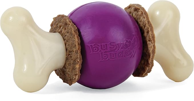 PetSafe Busy Buddy Bouncy Bone, Treat Holding Dog Toy by PetSafe