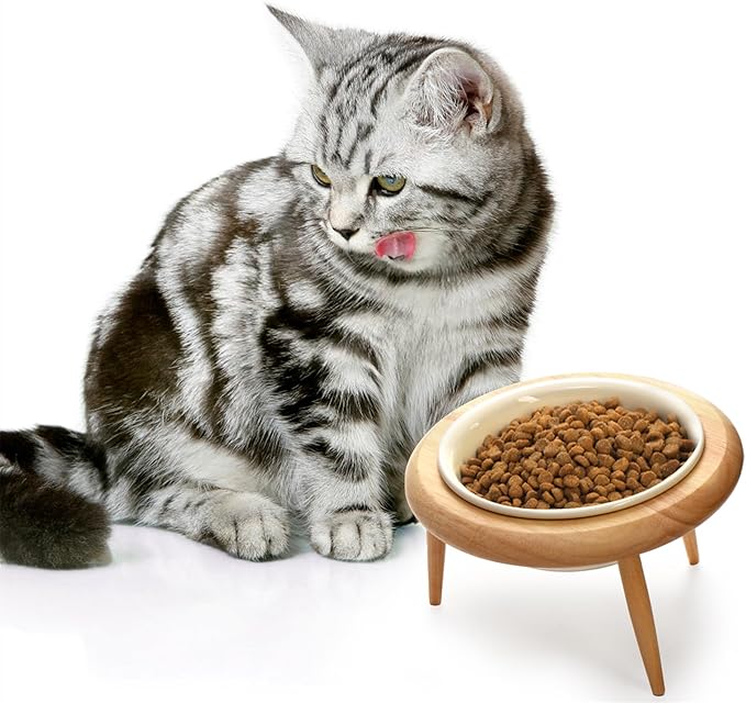 DEAYOU Ceramic Cat Bowl Adjustable, Tilted Elevated Raised Pet Dish, No Spill - Image 6