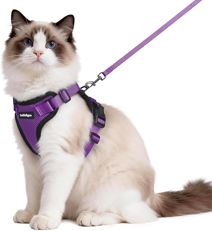 rabbitgoo Cat Harness and Leash Set, Escape Proof Vest Harness by rabbitgoo