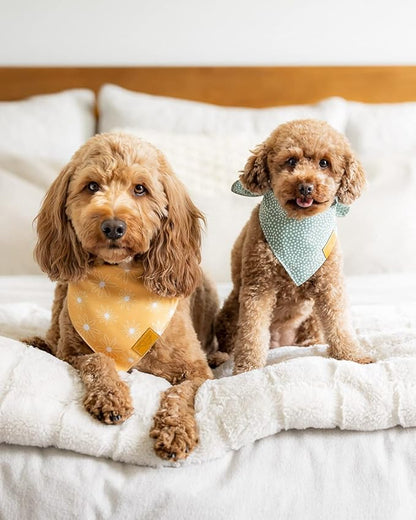 Remy+Roo Small Spring Dog Bandanas - Image 2