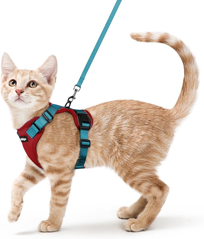 rabbitgoo Cat Harness and Leash Set, Escape Proof Vest Harness by rabbitgoo