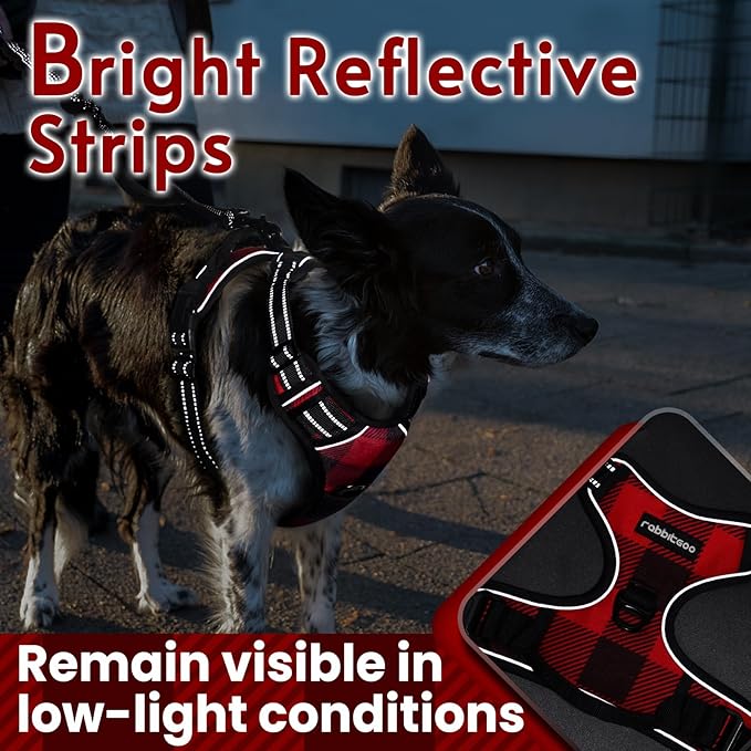 rabbitgoo Dog Harness No Pull - Image 7