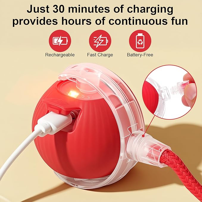 Smart Interactive Automatic Electric Rolling Moving Rechargeable Motion - Image 4