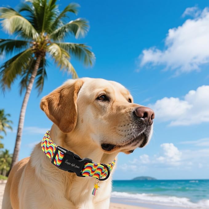 Unique style paws Dog Collar Plastic Buckle - Image 4