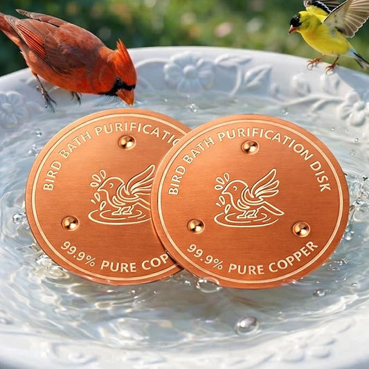 Factee 2PCS Bird Bath Copper Disk – 0.6mm Thick 99.9% Pure Copper Cleaning Disk by Factee