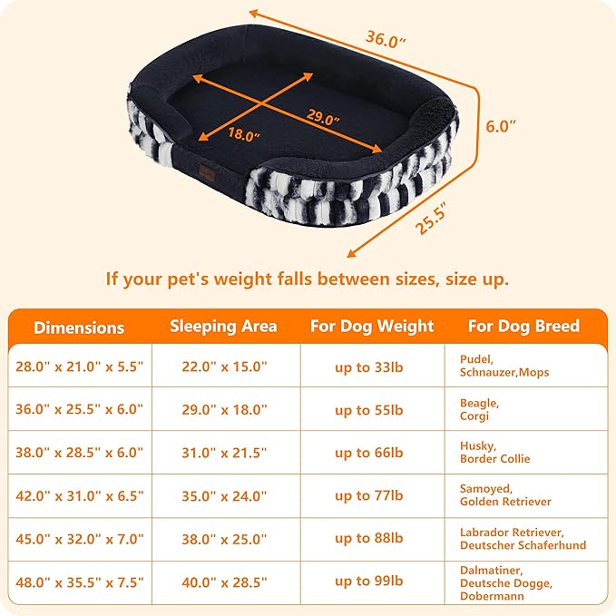 Dwanton Orthopedic Dog Bed for Medium Dogs - Image 4