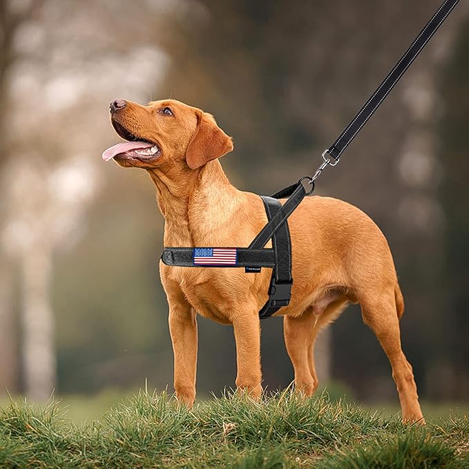 Annchwool No Pull Dog Harness - Image 6