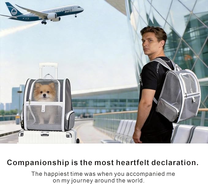 Cat Carrier Backpack, Dog Backpack, Ventilate Pet Cats Puppy Dogs Birds Bunny - Image 5