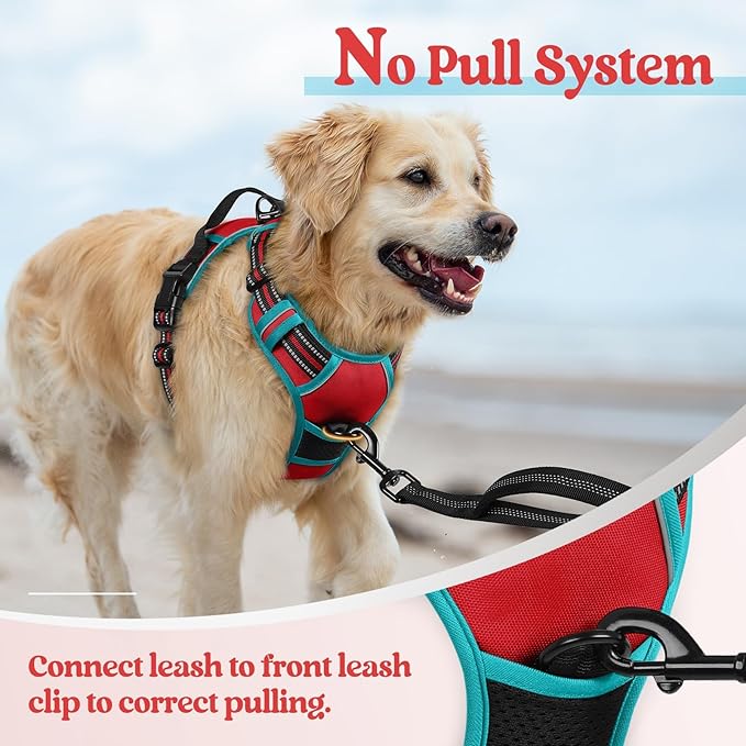 rabbitgoo Dog Harness No Pull - Image 5