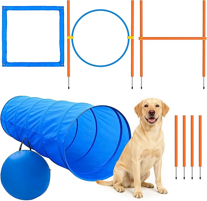 XiaZ Dog Agility Course Backyard Set, Dog Obstacle Course Training Starter Kit by XiaZPet