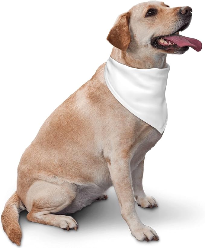 Personalized Dog Scarf Add Your Design Custom Dog Bandanas - Image 4