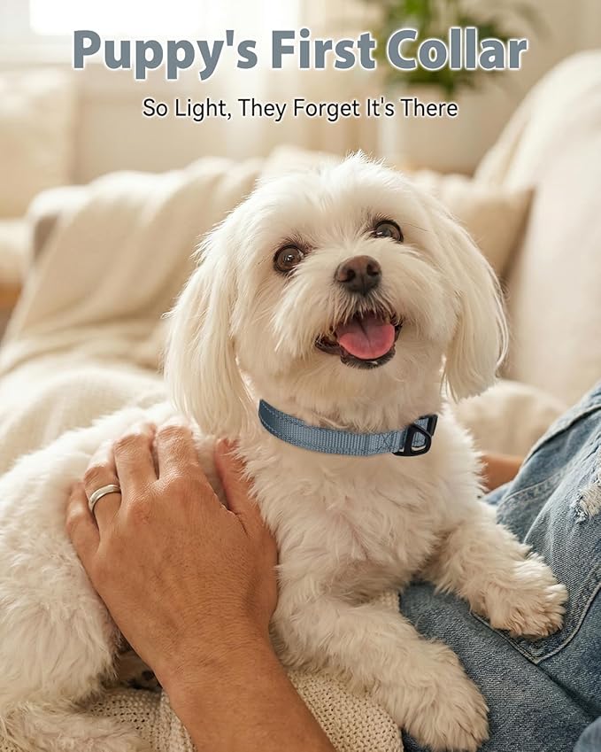 Joytale Small Dog Collar, Durable Double-Sided Reflective Nylon Collar - Image 2
