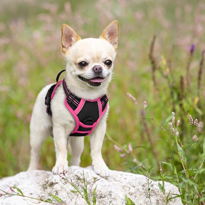 rabbitgoo Dog Harness No Pull - Image 7