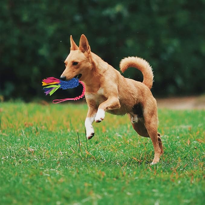 wodoca Dog Tug Toy, Dog Toys for Aggressive Chewers - Image 3