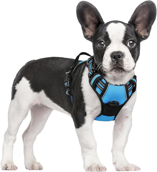 rabbitgoo Dog Harness No Pull by rabbitgoo