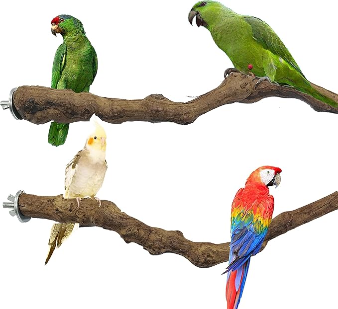 2 PCS Natural Grape Stick Fork Bird Perch Bird Standing Stick Chewing Bird Toys - Image 2