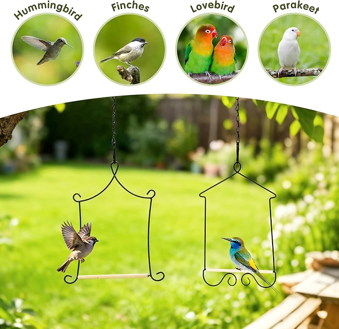 Metal Frame Hummingbird Swings and Perches - Image 4