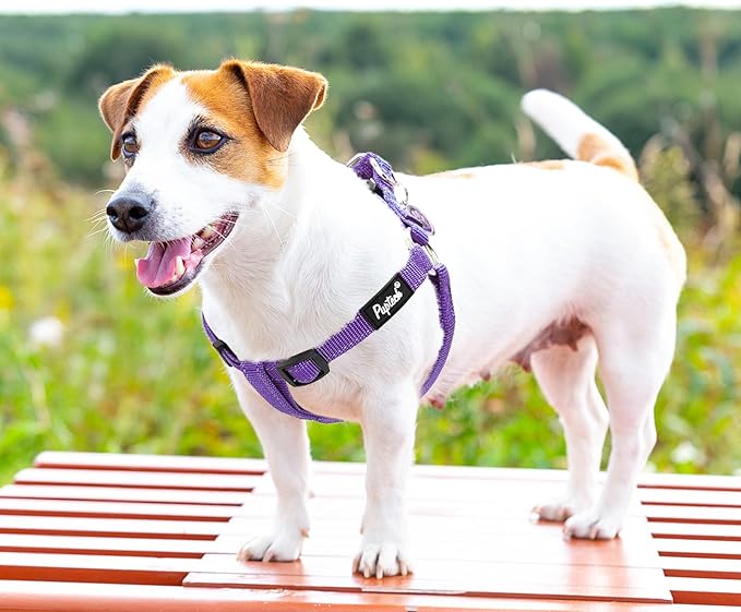 PUPTECK No Pull Dog Harness Soft Adjustable Basic Nylon Step in Puppy Vest - Image 6