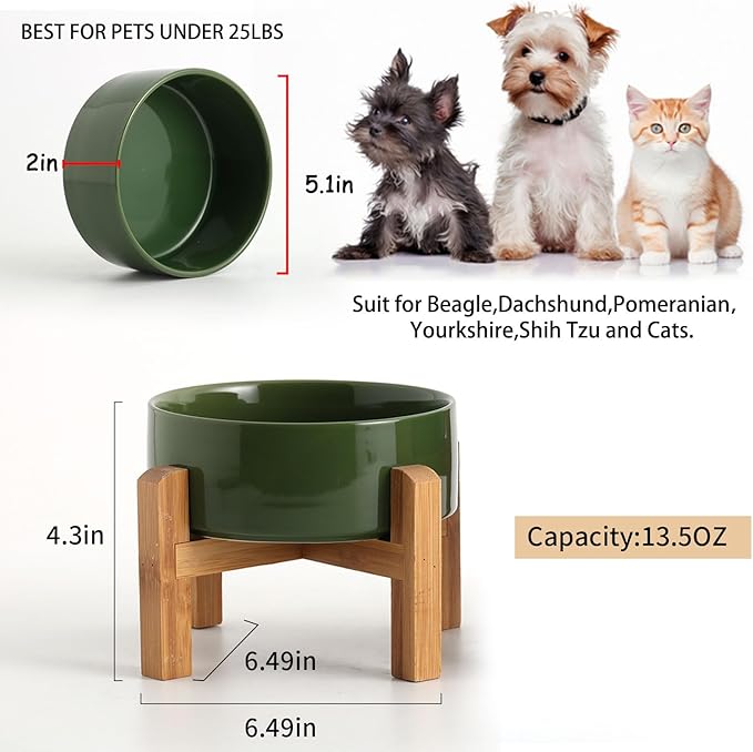 Petygooing Rust Green Elevated/Raised Ceramic Dog Bowl - Image 3