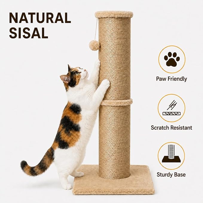 PAWSCRAT Cat Scratching Post 32 Inch High, 5.5 Inch Large Diameter Natural - Image 3